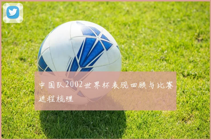 中国队2002世界杯表现回顾与比赛进程梳理