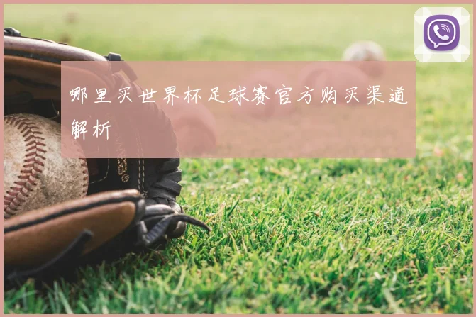 哪里买世界杯足球赛官方购买渠道解析