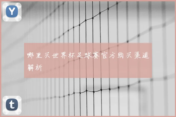 哪里买世界杯足球赛官方购买渠道解析