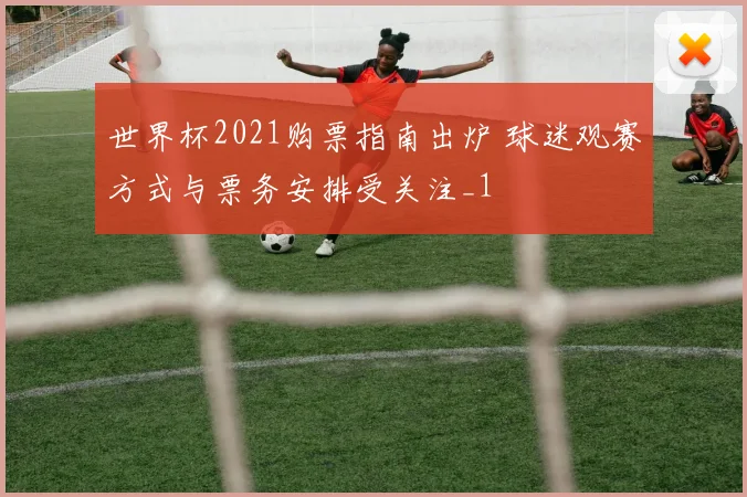 世界杯2021购票指南出炉 球迷观赛方式与票务安排受关注_1