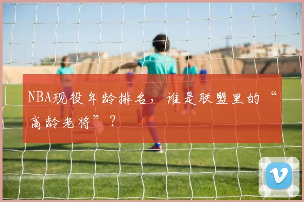 NBA现役年龄排名，谁是联盟里的“高龄老将”？